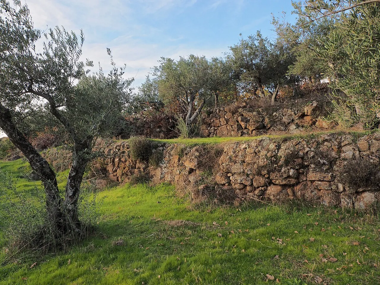 Almazara Gata Villuercas