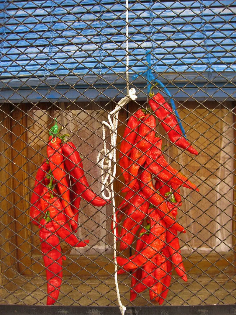 Ristra de pimientos rojos secándose al sol