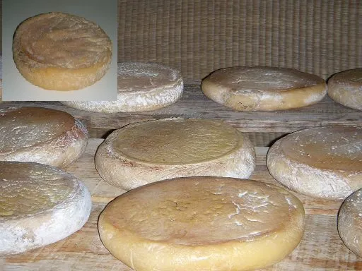 Queso de la Serena DOP (Torta)